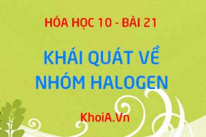 Nhóm Halogen là gì? Cấu tạo phân tử nhóm Halogen và sự biến đổi độ âm điện của nhóm Halogen - Hóa 10 bài 21
